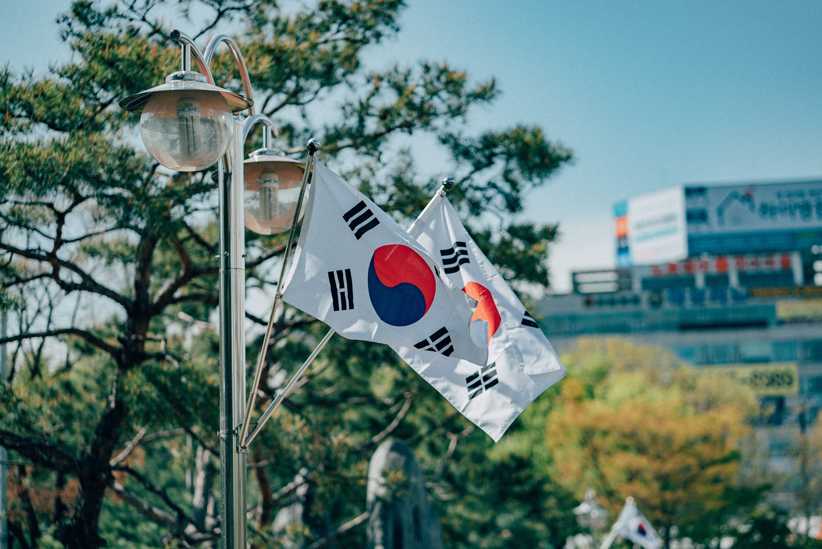 havias-hanguk-beteunam-yeonhabhoe bija E7 jeonmun keonseolting havias-hanguk-beteunam-yeonhabhoe bija E7 jeonmun keonseolting