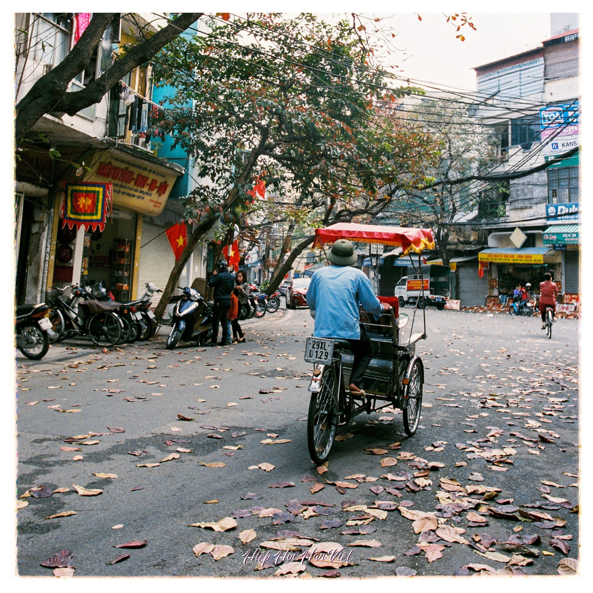 Mùa thu Hà Nội với lá vàng lãng mạn Mùa thu Hà Nội với lá vàng lãng mạn