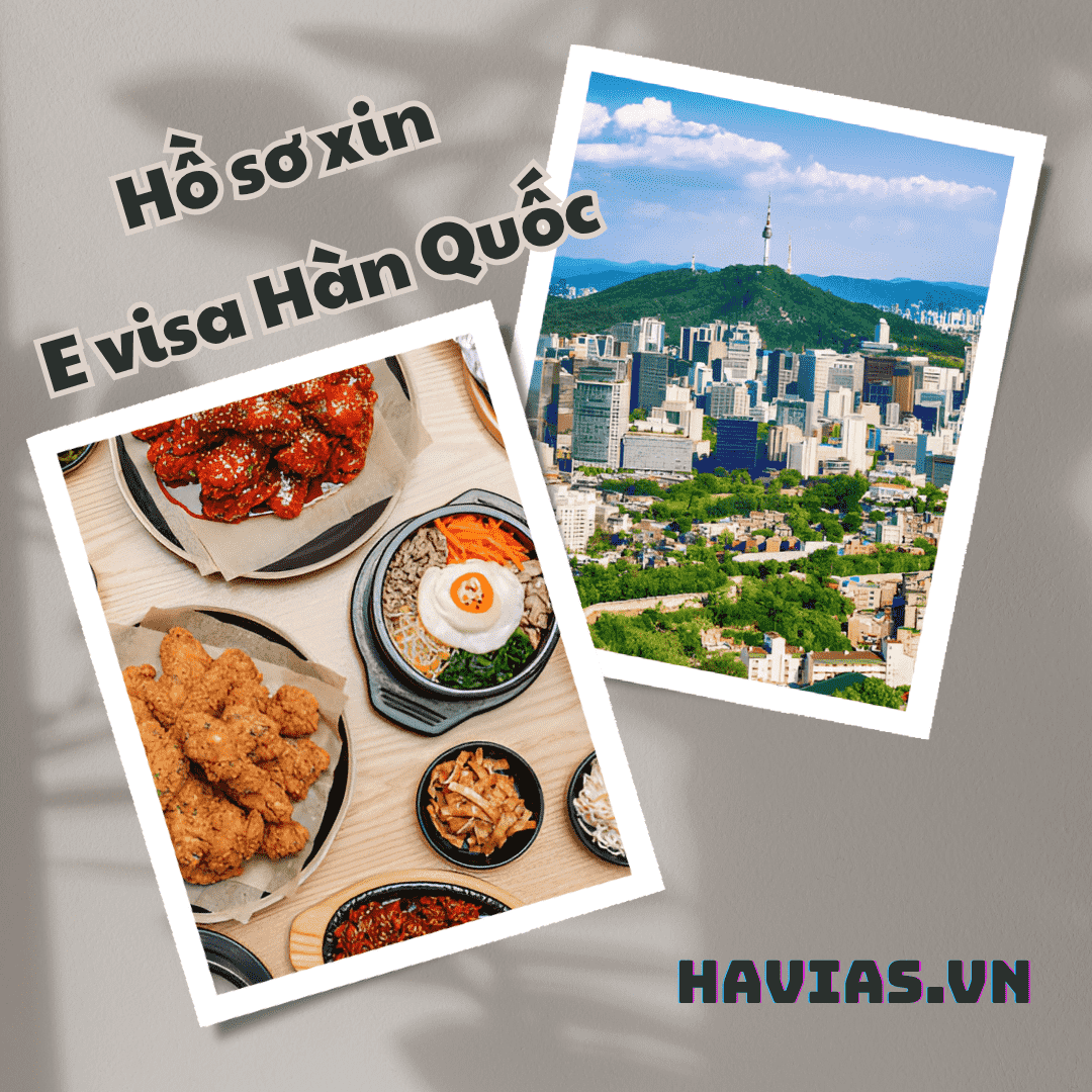 Hồ sơ xin E visa Hàn Quốc