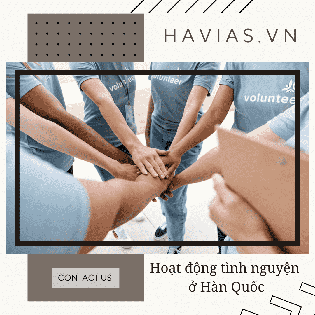Hoạt động tình nguyện ở Hàn Quốc: Hướng dẫn tham gia và đăng ký qua 1365