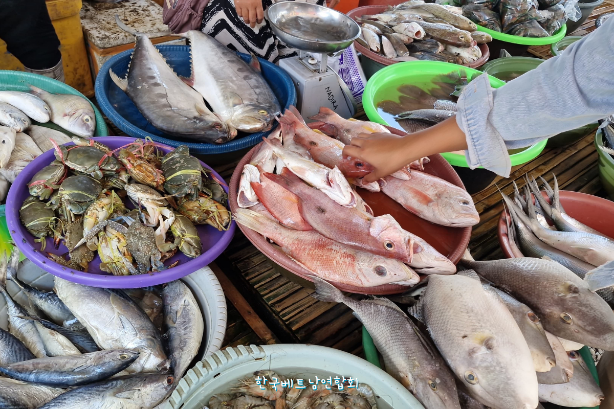 신선한 해산물이 가득한 포항 죽도시장. 신선한 해산물이 가득한 포항 죽도시장.
