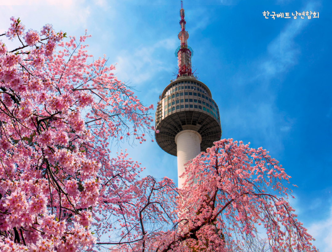 남산서울타워 사랑의 자물쇠