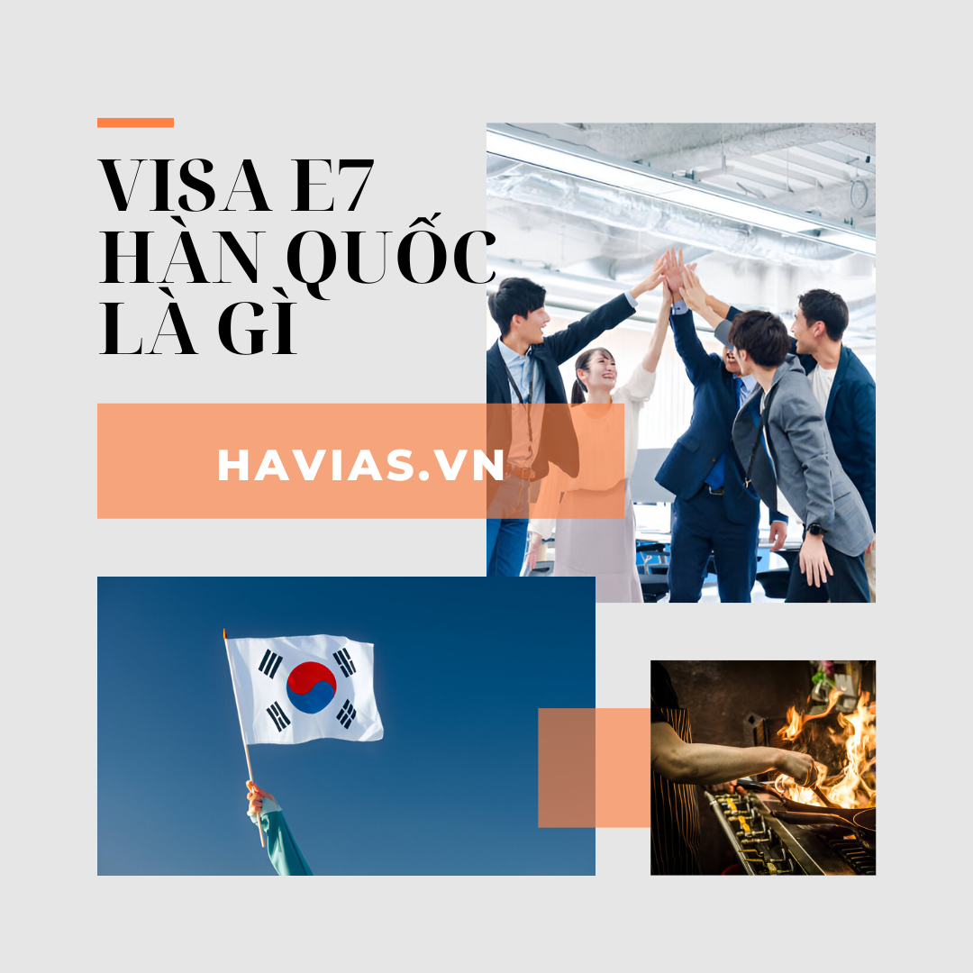Visa E7 Hàn Quốc là gì?