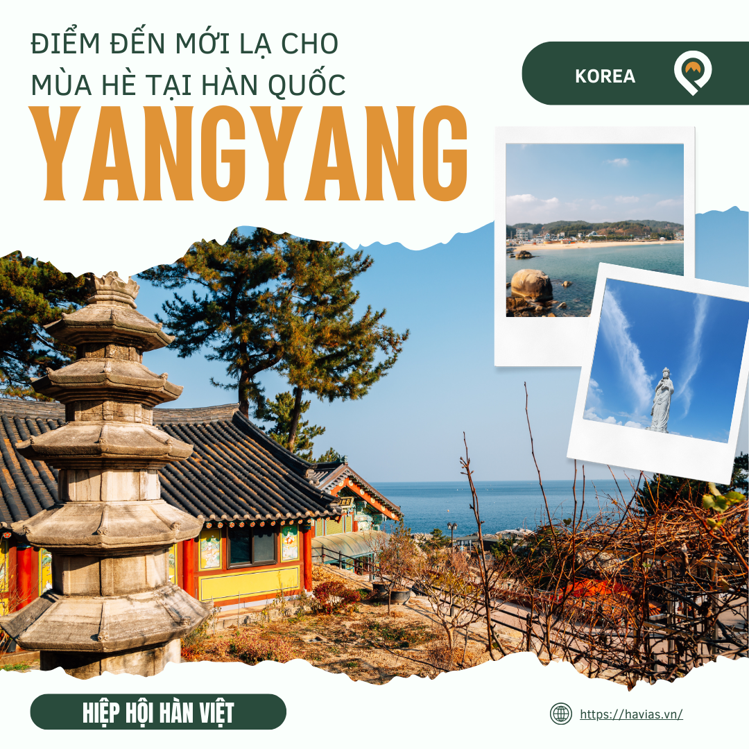 Yangyang – Thiên Đường Lướt Sóng và Thiên Nhiên Hoang Sơ